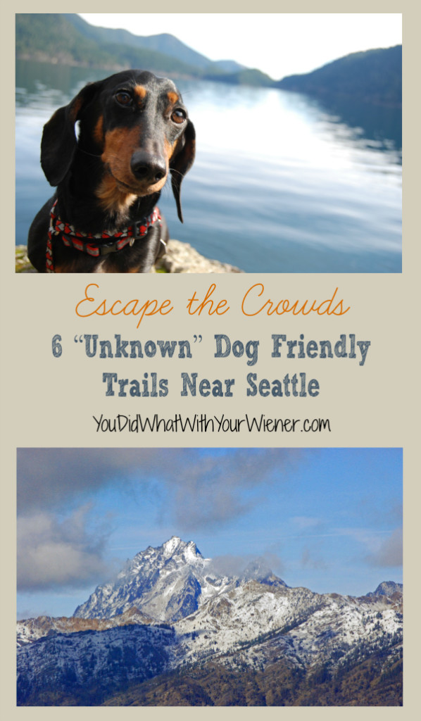 6 Unknown Dog Friendly Trails Near Seattle