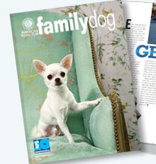 Family Dog Cover