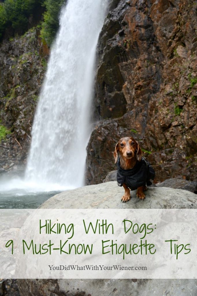 Important Etiquette Rules to Know When Hiking With Dogs