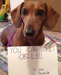 This image has an empty alt attribute; its file name is Obie-from-Facebook7.jpg