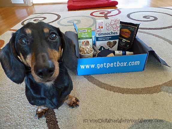 PetBox subscription dog box