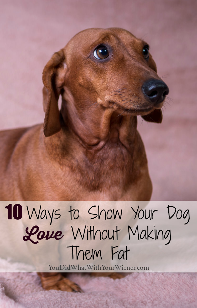 Treats aren't the only way to show your dog love