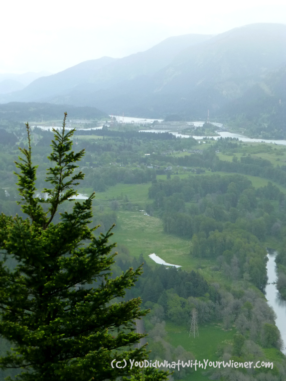 View from Beacon Rock Trail, Columbia Gorge