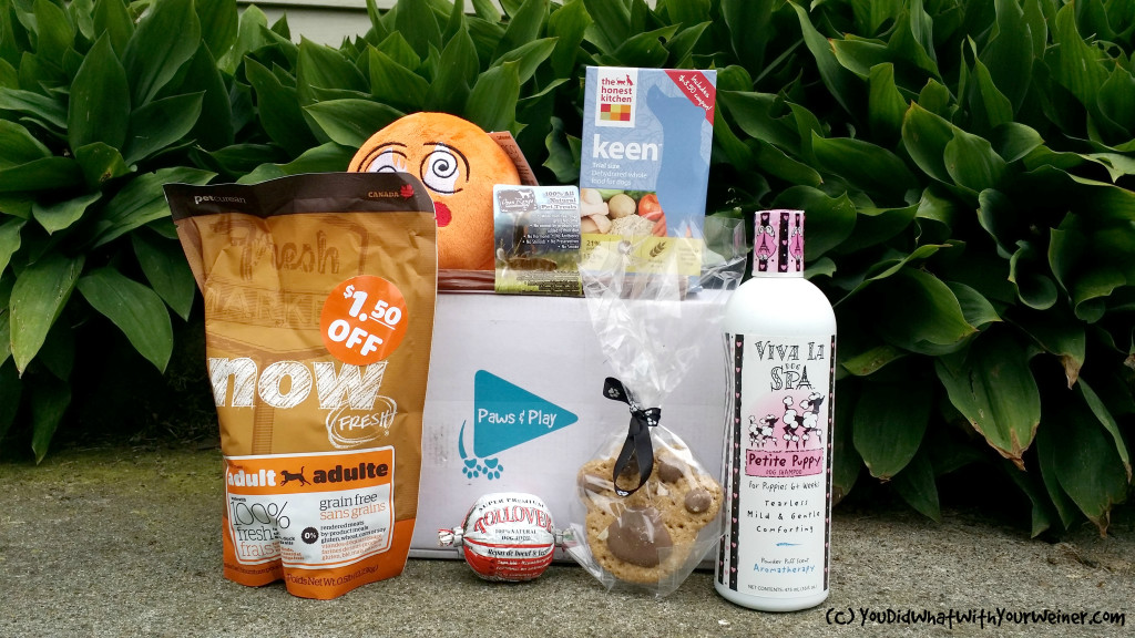 Small dog subscription box from Paws and pPay