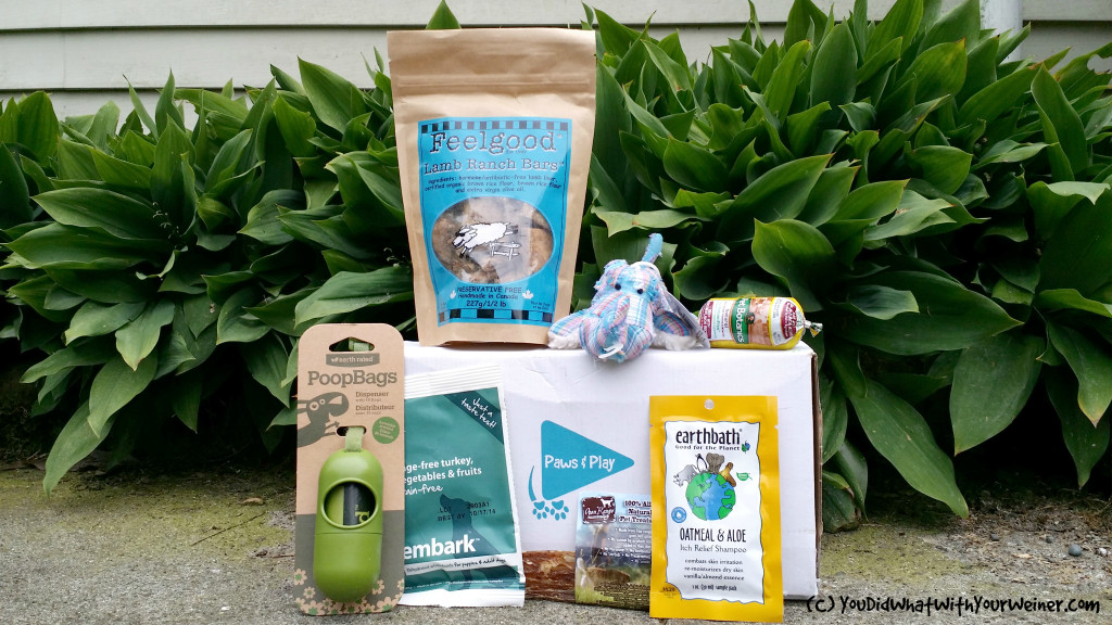 special edition "green" dog subscription box from Paws and Play