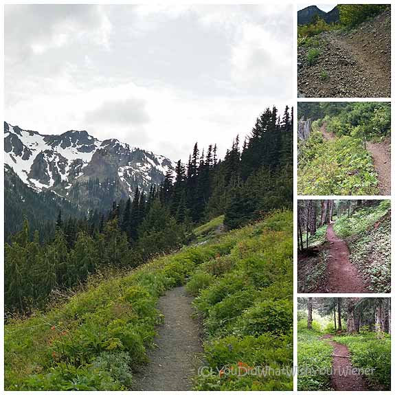 Upper Big Quilcene to Marmot Pass - the trail experience in pictures