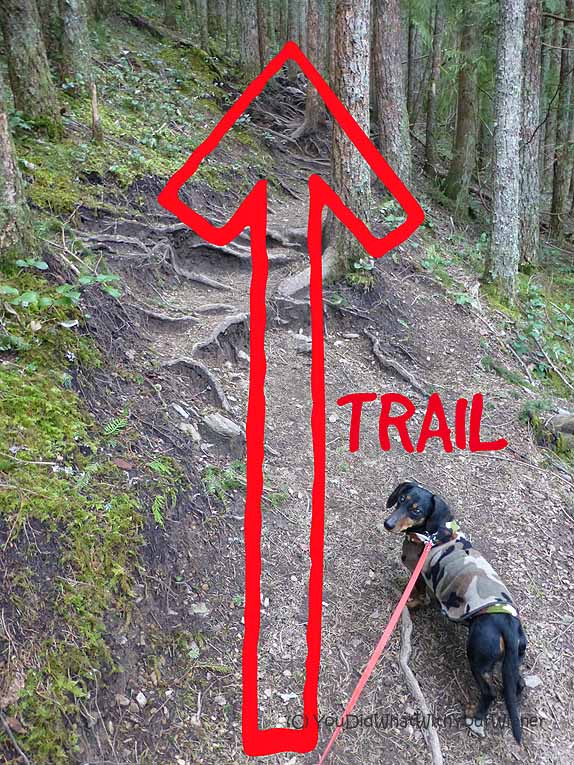 Mailbox Peak Trail is steep