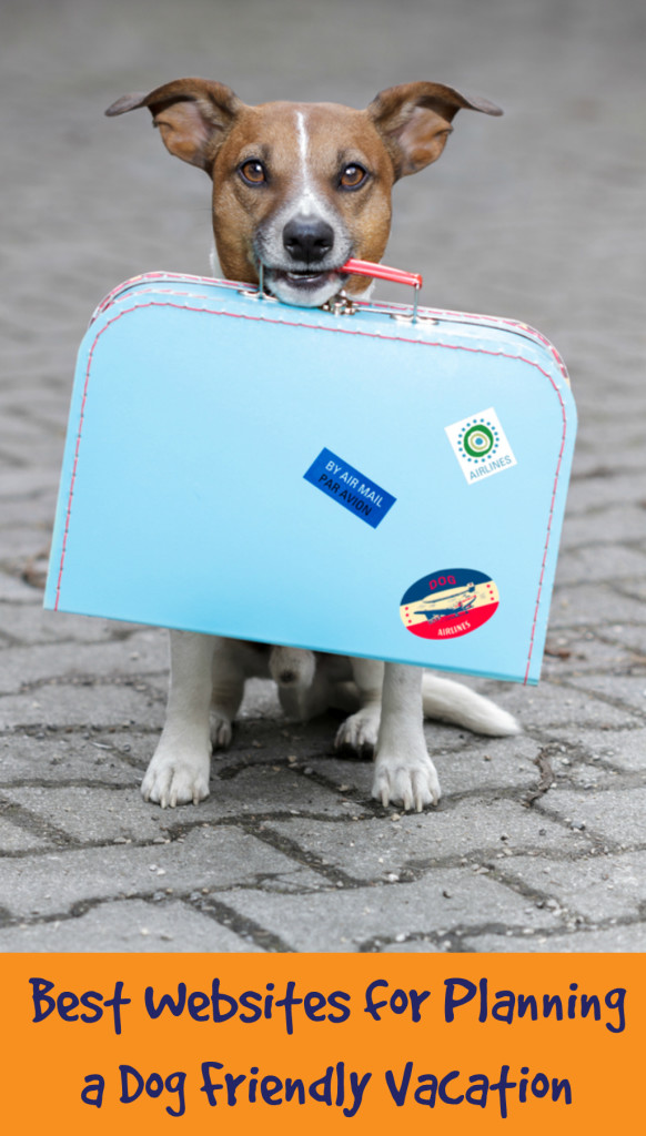 Traveling with your pooch: Best websites for planning a dog friendly vacation