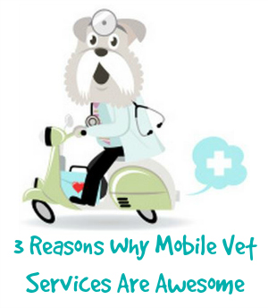 Mobile vet awesome