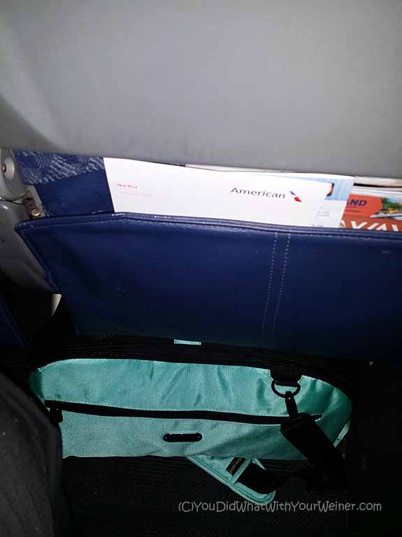 Sleepypod Air Pet Carrier Under the Airplane Seat