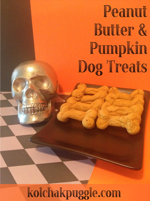 peanut-butter-pumpkin-spice-dog-treats