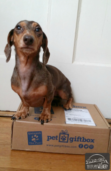 Pet Giftbox