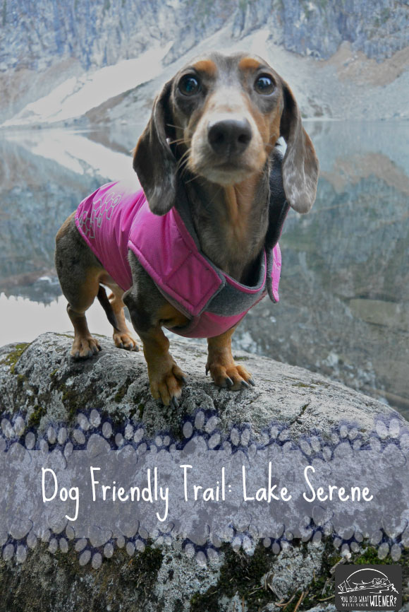 Lake Serene Dog Friendly Trail
