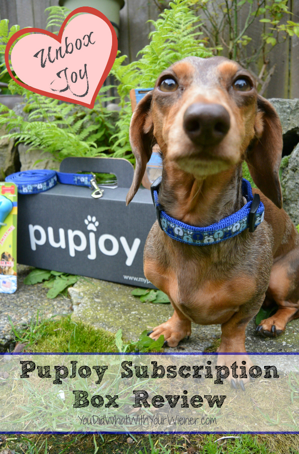 PupJoy Subscription Goody Box Review