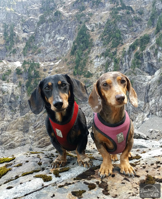 Lake Twentytwo - Chester and Gretel with Mount Pilchuck