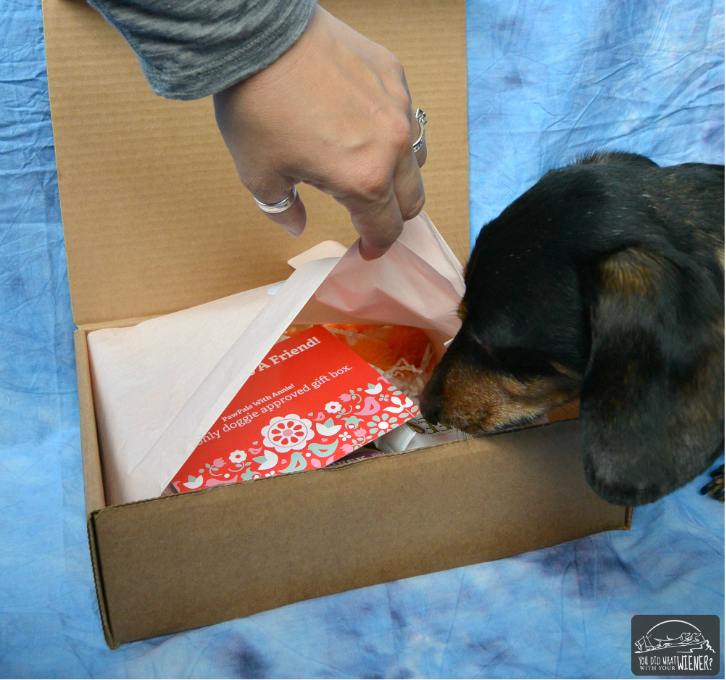 Peeking Inside the PawPals with Annie Gift Box