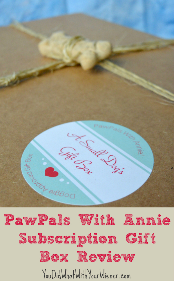 PawPals with Annie Gift Box Review