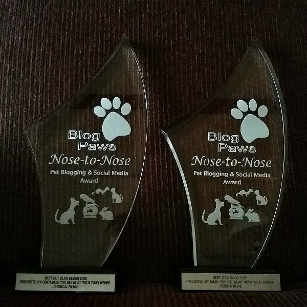 Nose-to-Nose Awards for Best Dog Blog and Best Design
