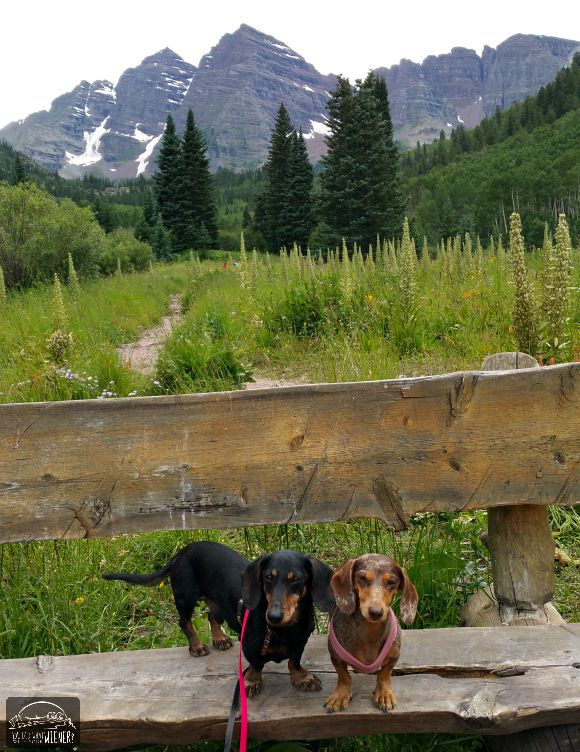 The dog friendly Maroon Bells Trail, Aspen, CO