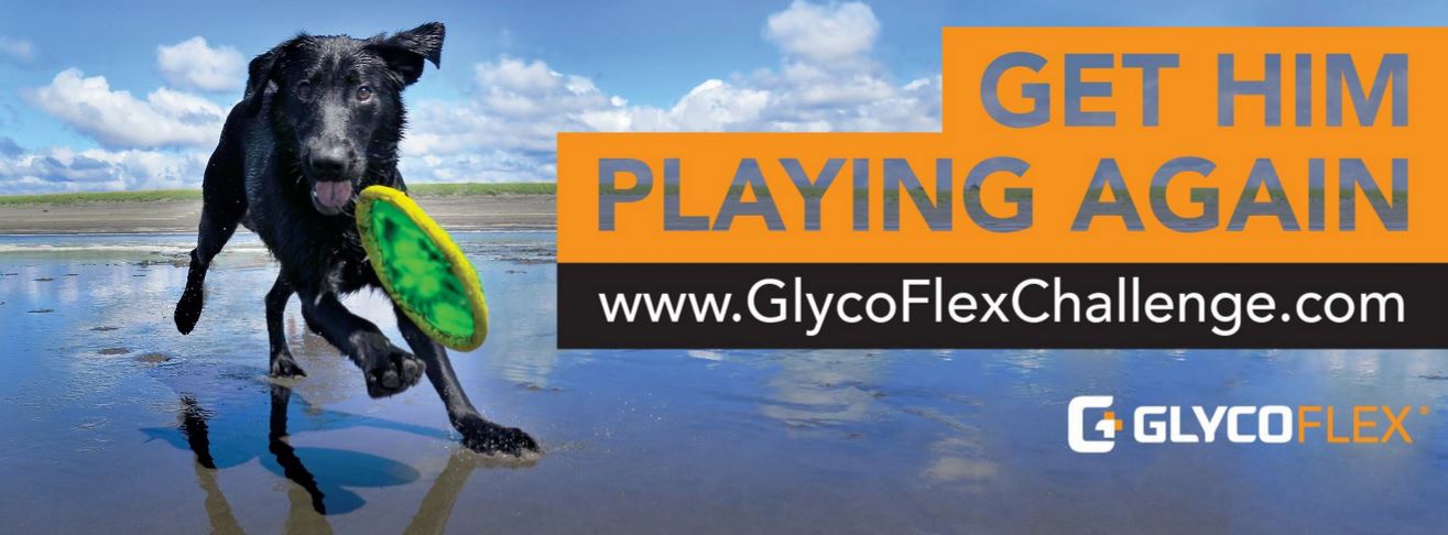 GlycoFlex Challenge Banner