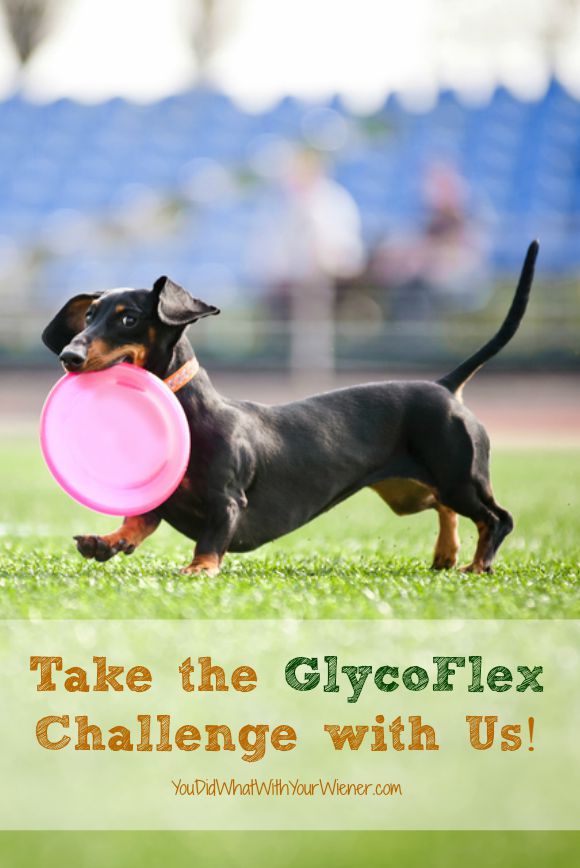 The GlycoFlex Challenge is easy and FREE