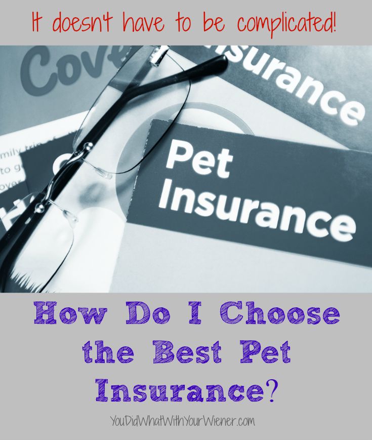 This comparison chart will help you choose the best pet insurance