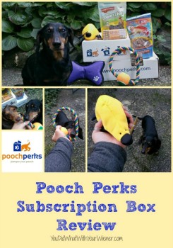 October Review of the Pooch Perks Dog Subscription Box