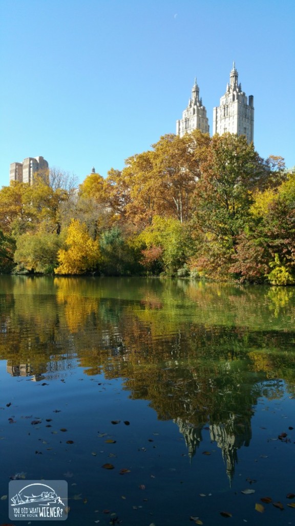 NYC - Central Park