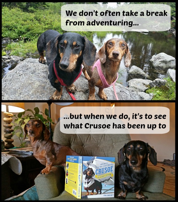 Chester and Gretel live vicariously through Crusoe
