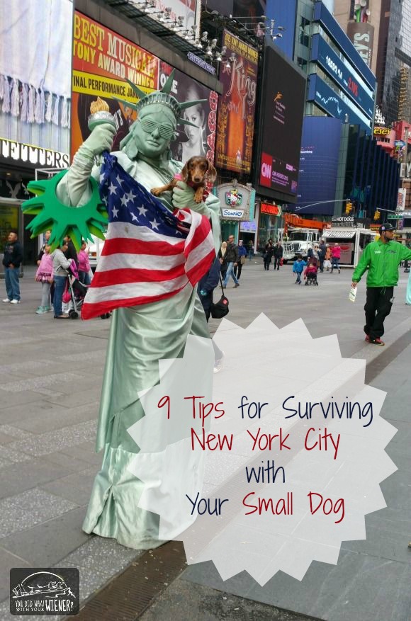 9 Tips for Surviving New York City with Your Small Dog