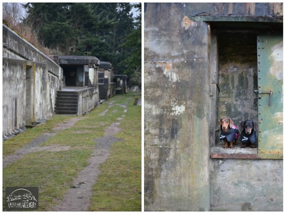 Port Townsend - Ft. Warden Bunkers