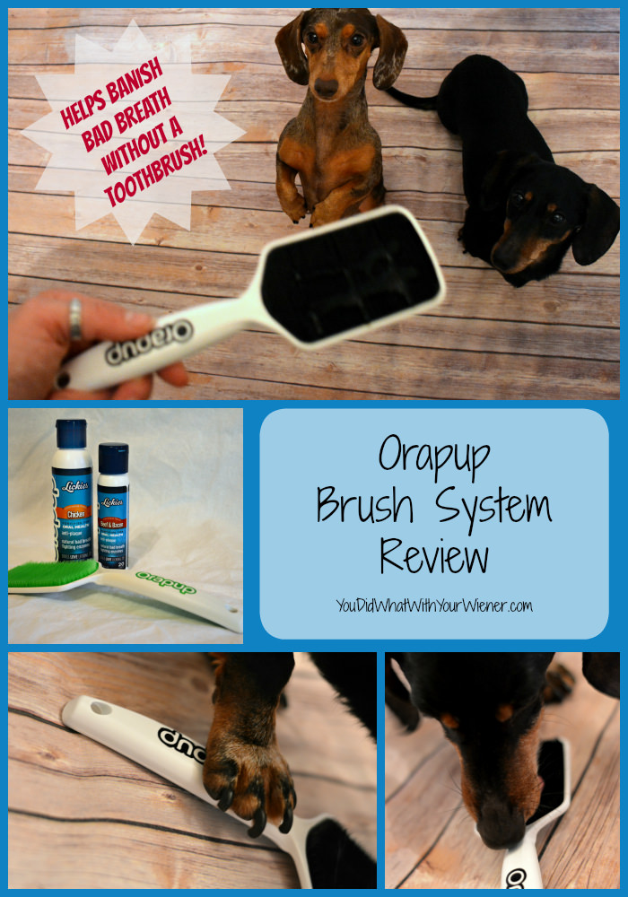 Get Sweet Breath with the Orapup Brush Tongue Scraper System #sponsored