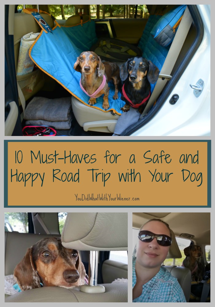 10 Must-Haves for a Safe and Happy Road Trip with Your Dog - advice from someone who has been doing it for 10 years!