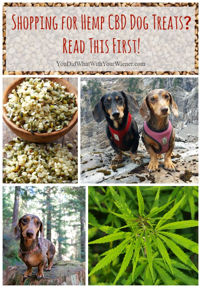 Beware of deceptive labeling! While hemp oil has its benefits, not all hemp dog products contain CBD, which is the one you want to help with seizures, anxiety, and cancer fighting properties. Many brands will take advantage of the fact that you don't know the difference so educate yourself here.