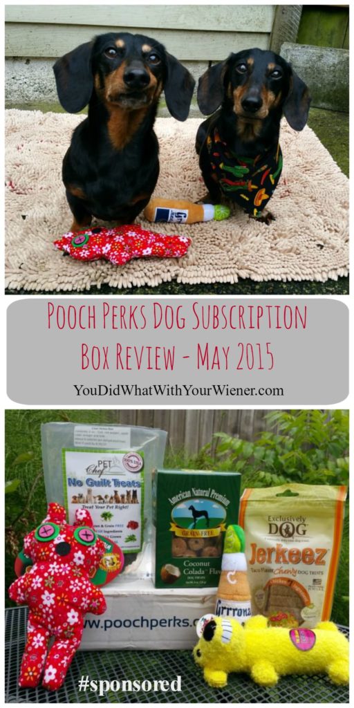 Pooch Perks Dog Subscription Box Unboxing Video Review