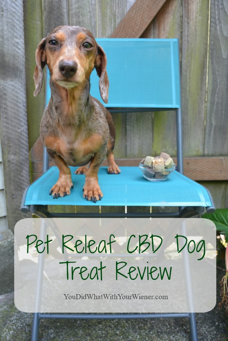 Find Out Why Pet Releaf Hemp CBD Dog Treats Are the Best #sponsored