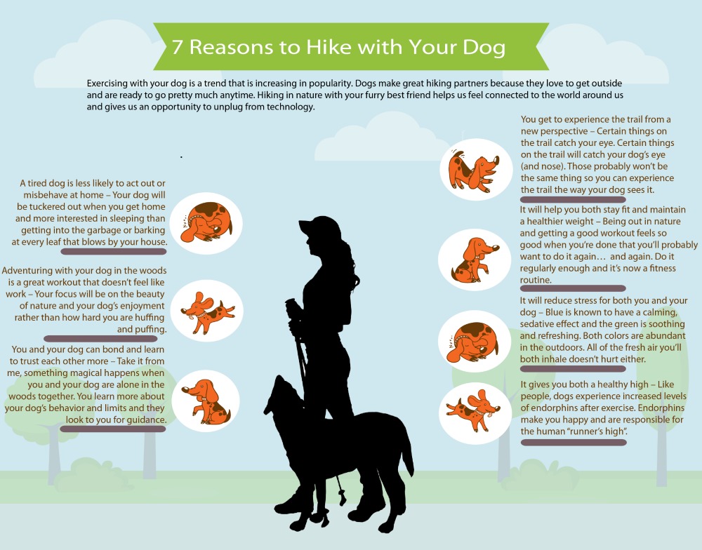 Hiking with your dog has many benefits - We touch on 7 of them in this Infographic