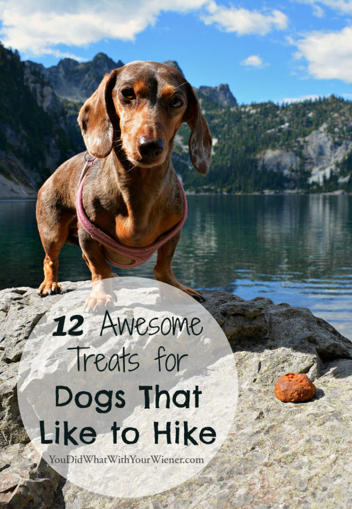 Dogs will love these treas when out on the trail