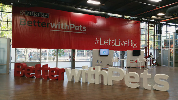 Welcome to the Purina Better with Pets Summit