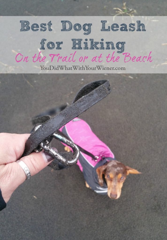 Best Leash for Hiking With Your Dog in Wet Weather