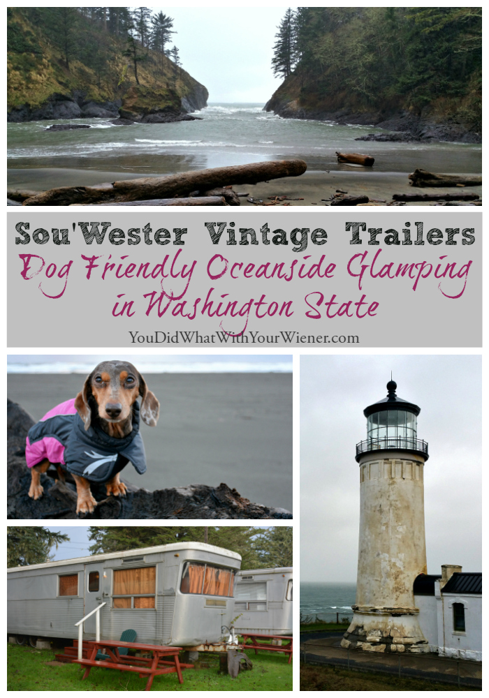 The dog friendly Sou'Wester is a fun place to go glamping with your dog