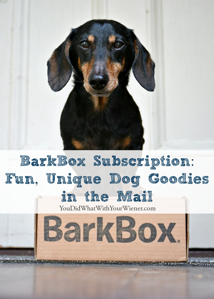 The BarkBox Subscription Box is Full of Surprises For Your Dog