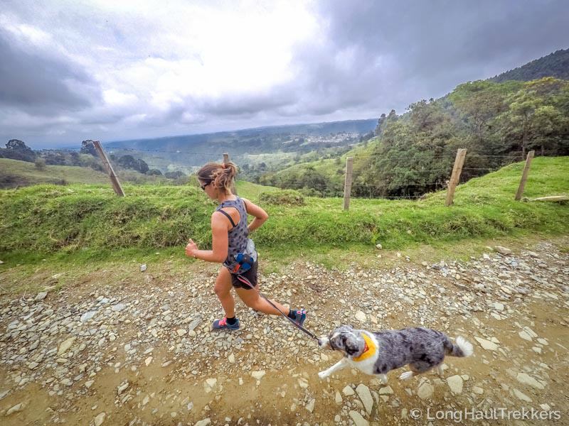 Trail running with a dog - what to do when you encounter off leash dogs