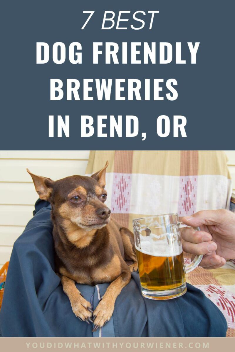 Bend, Oregon has been named the most dog friendly city in the US. Part of this reasons is the number of dog friendly breweries. Check out our list of favorites here.