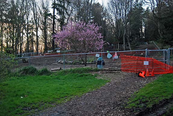 Seattle Off-leash Dog Park Review: Golden Gardens