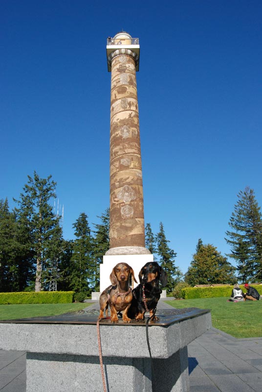 Read This If You’re Visiting Astoria, Oregon With Your Dog
