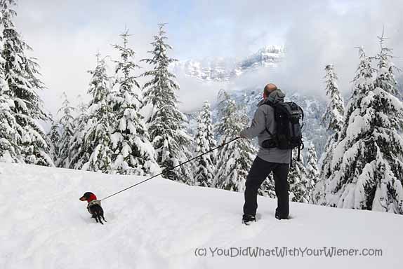 Stay Fit this Winter by Snowshoeing with Your Dog