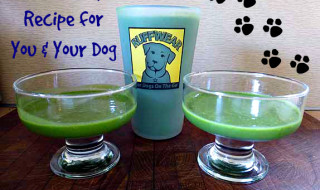 Green Smoothie Recipe for You & Your Dog