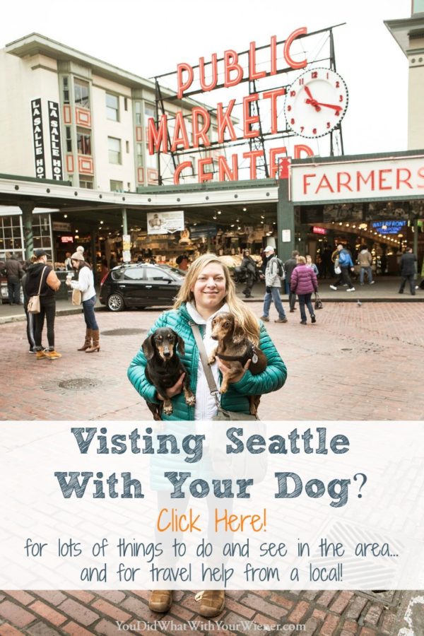 11 Reasons Why Seattle is the Most Dog Friendly City