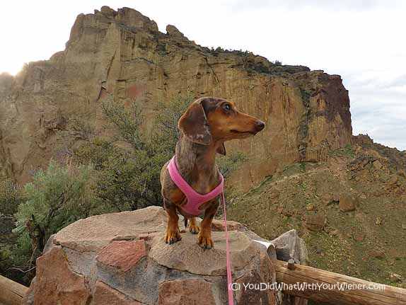 Hiking Misery Ridge at Dog Friendly Smith Rock State Park